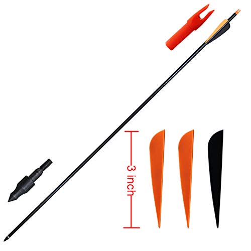 CQ Archery Practice Arrows for Recurve/Compound Bow or Traditional Bow (Targeting and Hunting) 30 inch Shaft with Removable Tips 12 Pack