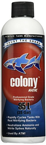 Atm blue shark animal planet tanked colony nitrifying bacteria ma…
