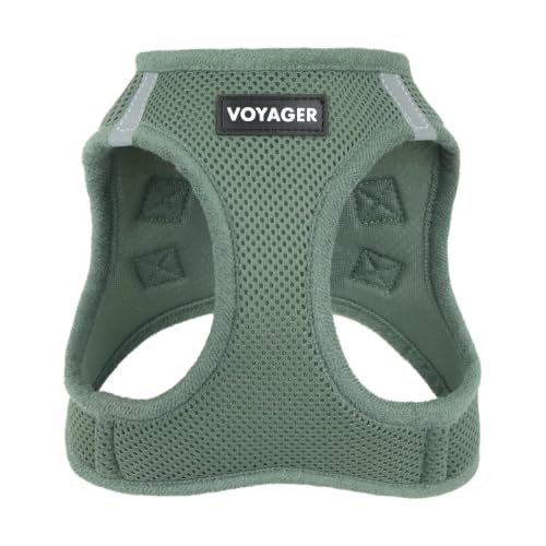Best Pet Supplies Voyager Step-in Air Harness - All Weather Mesh, Reflective, No Pull Harness for Dogs, Cats - Secure with Hook & Loop Fastener, Buckle, Double D-Rings - Moss Green, S