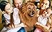 Dog Lion Mane Dog Wig - Pet Costumes for Large Dogs and Medium Dogs - Adjustable Pet Costume Lion Wig for Halloween with Gift - Lion Tail