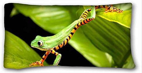 Soft Pillow Case Cover ( Everything FrogsAnimal Frog ) Popular 20x36 inch One Side Pizza Rectangle Pillowcase suitable for X-Long Twin-bed PC-Bluish-19247