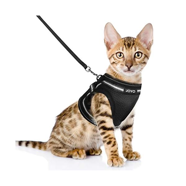 soft cat harness