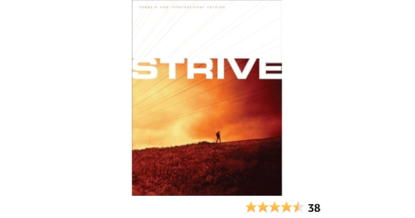 Strive: The Bible For Men (Tniv) (Today's New International Version):  Livingstone Corporation: 9780310921011: Amazon.com: Books