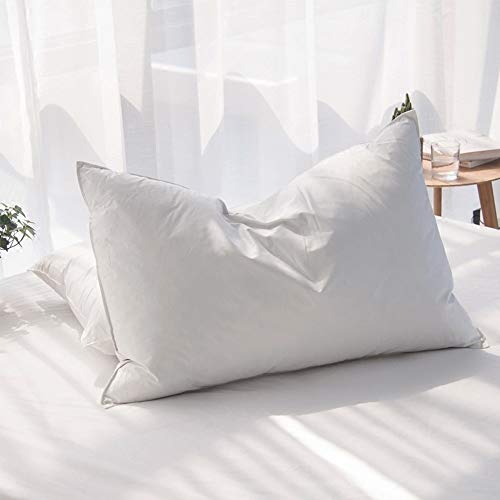 AIKOFUL Goose Feathers and Down Pillows