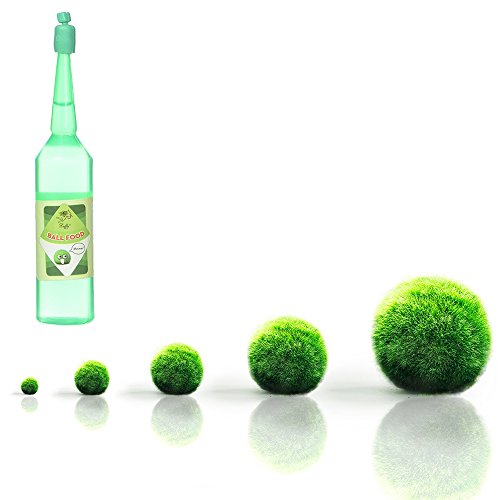 Luffy Plump Your marimo Fertilizer - Marimo Food boosts Growth - Imparts and enhances Color - Regular Dosage Results in fluffier marimos