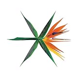 EXO - The War (4th Album) [KOREAN / Regular B ver.] CD+Photobook+Photocard+Folded Poster+Free Gift