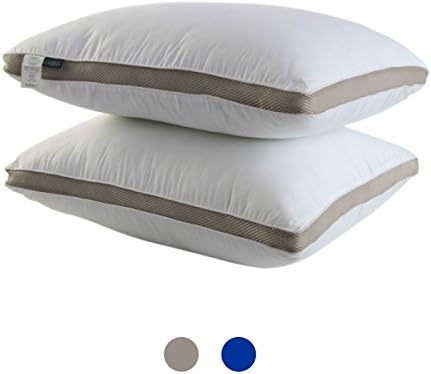 RoyalPie Gusseted Quilted 100% cotton Pillow - Hypo Allergenic and Easy Care - Premium Quality Pillows (King - 2 Pack, Silver)