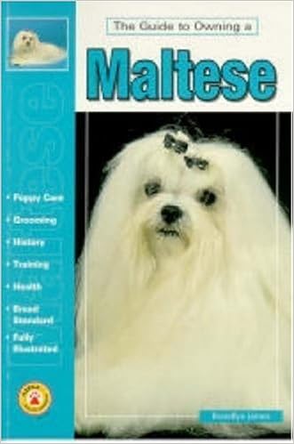 owning a maltese