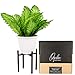 Plant Holder for Indoor and Outdoor Plants - Plant Stands Indoor - Metal Indoor Plant Stand for Potted Plants and Flowers - Mid Century Plant Stand and Potted Plant Holder - Indoor Planter Stand