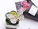 Multi Color Crystal Rhinestones Butterfly Hair Claw Clip for Women Girls