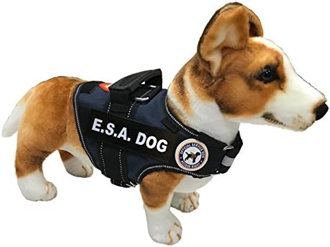support dog vest amazon