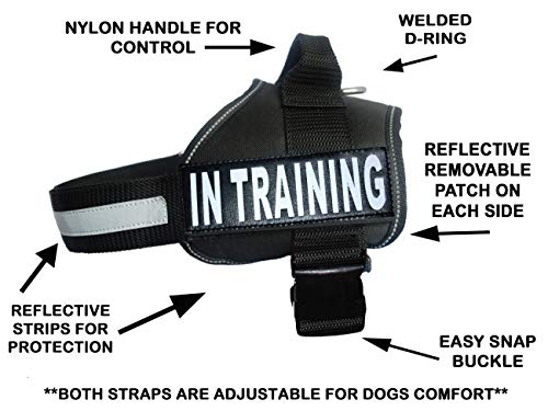 Doggie Stylz in Training Service Dog Harness with Removable Saddle Bag Backpack Pack Carrier Traveling Carrying Bag. 2 Removable in Training Velcro Patches. Please Measure Dog Before Ordering. Made