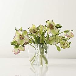 Iittala Alvar Aalto 120mm Clear Vase