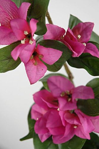 Dexon Power Fuchsia Bougainvillea Garlands 6'