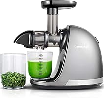 Juicer Machine, AMZCHEF Slow Masticating Juicer Extractor, Cold Press Juicer with Quiet Motor, Reverse Function for Fresh...