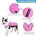 MIGOHI Warm Dog Coat - Winter Dog Jacket, Reflective Windproof Fleece Vest with Leash Hole