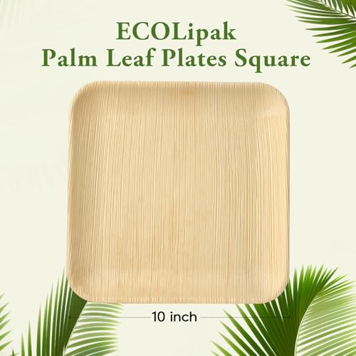 ECOLipak 10 Inch Compostable Palm Leaf Plate Like Bamboo Plate, 50 Pack | Disposable Biodegradable Plates, Suitable for Party, Dinner