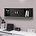 Topeakmart Wall Mounted Floating Media Storage Cabinet Hanging Desk Hutch 2 Door & Compartment Home Office Furniture (Black)