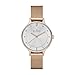 Skagen Women's Anita Stainless Steel Mesh Dress Quartz Watch