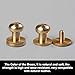 WUTA Solid Brass Round Head Screw Studs Brass Button Nail Rivet Chicago Leathercraft Accessories 20pcs/Pack,10mmX8mm Brass
