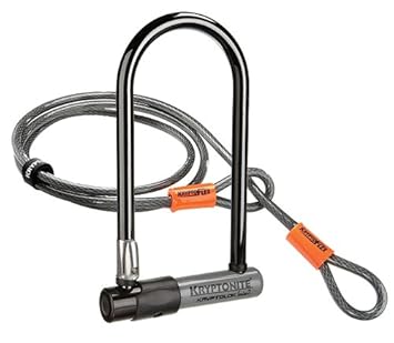 Afficher l'image d'origine