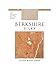 Berkshire Women's Silky Extra Wear Sheer Control Top Pantyhose 4428