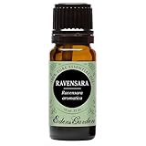 Ravensara 100% Pure Therapeutic Grade Essential Oil by Edens Garden- 10 ml