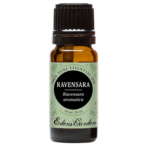 Edens Garden Ravensara Oil