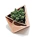 Purzest Succulent Planter, Ceramic Cactus Planter Modern Home Decor Air Plant Pot, 3 Inch Copper Color 2 Set
