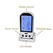 GOGOGOFUN Wireless Grill Thermometer Display Roasting Thermometer BBQ /Meat/ Steak Roasting Oven silver