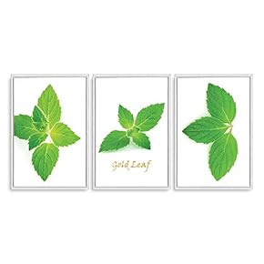 3 Piece Framed Canvas Wall Art for Living Room, Bedroom Green Plants Theme Canvas Prints for Home Decoration Ready to Hang - 16"x24"x3 Panels