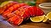(12 Pack) Fresh Frozen Lobster Tails from Maine - Large Lobster Tails for Delivery, Best with Lobster Crackers, Crab Leg Cracker Tools, Lobster Pics, Seafood Scissor & Forks - Antibiotic Free - Get Maine Lobster