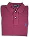 Polo Ralph Lauren Classic Fit Mesh Pony Logo Polo Shirt (Large, Red hth)
