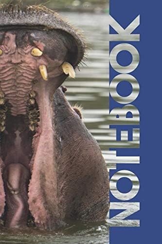 Notebook: Orthodontist Practical Composition Book for Pediatric Dentistry