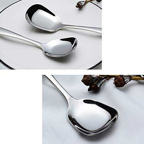 Wenkoni 304 Stainless Steel Spoons,Soup Spoons,Rice Spoons,Table Spoons,Dinner Spoons.(Color:Silver)