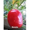 Rocoto Pepper AKA Red Manzano (10 Seeds) Can live for over 15 years- From Peru