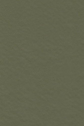 Galaxy Heavyweight Vinyl Tablecloth, 52X70 Oblong (Rectangle), Mint [Kitchen]