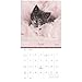 2018 Rachael Hale Cats Wall Calendar (Mead)