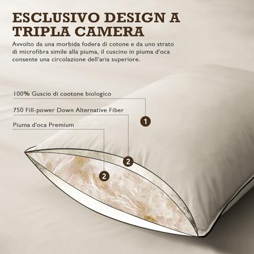 BPC Organic Feather and Down Pillow, 50 x 75 cm, Set of 2, Luxury 3 Bedroom Hotel Bed Pillow, 50 x 75 cm Cushion with 100% Cotton Cover, White
