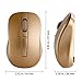 TONOR 2.4GHz Optical Wireless Mouse Portable Gaming Mice with USB 2.0 Receiver for PC Laptop Computer (Gold)