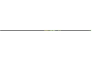 Gold Tip Hunter XT Arrow Shafts (Pack of 12)