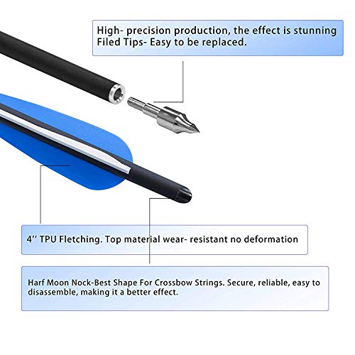 WDLHQC Arrows Archery Practice Hunting Arrows with Removable Tips(12Pcs/Pack) (Blue, 21)