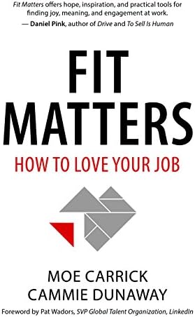 Fit Matters: How to Love Your Job