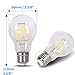 6 Pack DC 12V Battery System Globe Warm White 2700k 6 Watt LED Edison Filament A60 A19 Light Bulb E26 E27 Medium Base Lamp DC 12 Volt Original Vintage Nostalgic Classic Edison Pear Shape Lighting