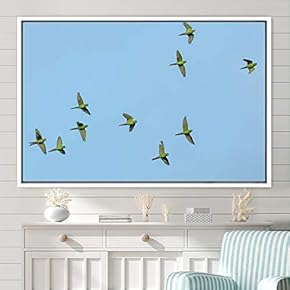 signwin Framed Canvas Wall Art Flying Together Birds...