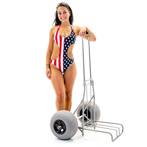 Hippocampe-BEACH-WHEELCHAIR-Large-Size-Challenger-Beach-Cart-Balloon-Tires