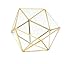 Bella's garden Gold Geometric Glass Terrarium Container DIY Desktop Planter Succulent Air Plants Candle Light Holder Miniature Outdoor Fairy Garden Wedding Gift Home Decor (Gold,Medium)