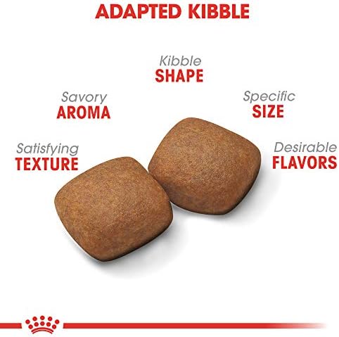 royal canin junior giant 15kg