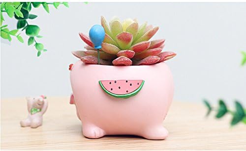 Youfui Cute Succulent Flowerpot for Home Decoration Gift (Pig), Middle - Image 5