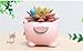 Youfui Adorable Succulent Planter Pig Flower Pot with Drainage Hole - Pencil Brush Holder - Cute Resin Decorative Garden Planter for Indoor Plants, Home Decor Gift